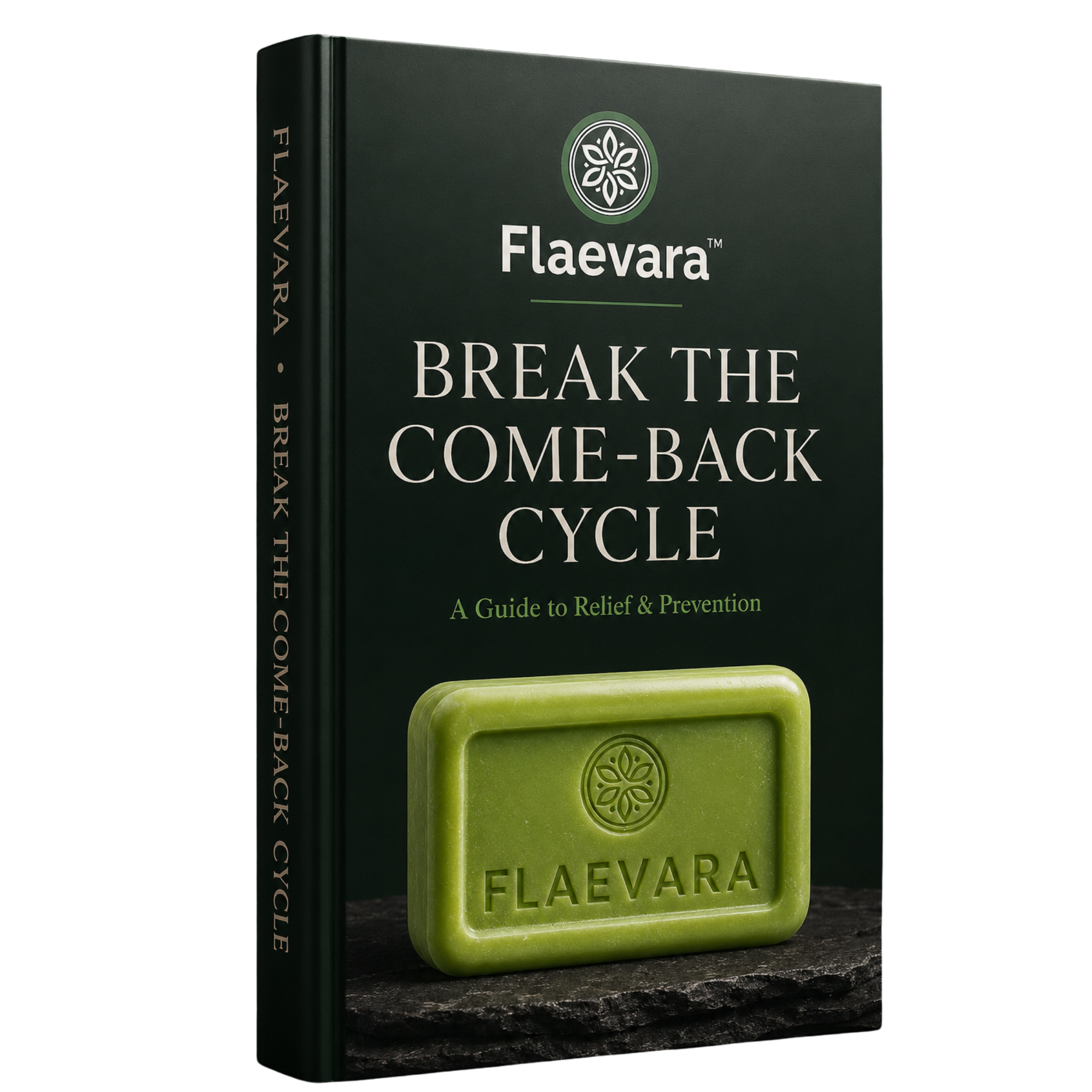 Ebook Guide