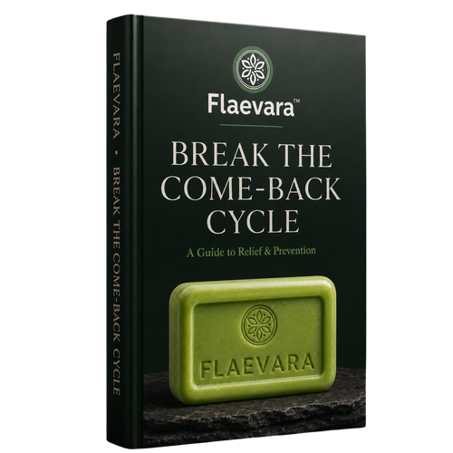 Ebook Guide